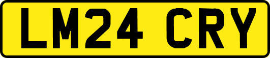 LM24CRY