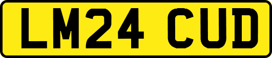 LM24CUD