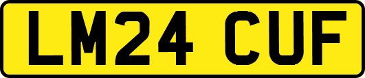 LM24CUF