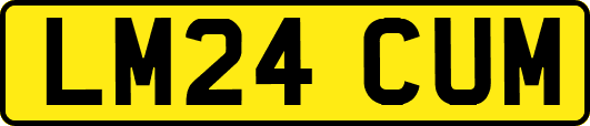 LM24CUM