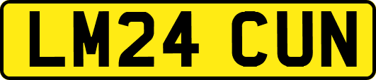 LM24CUN