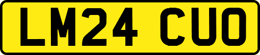 LM24CUO