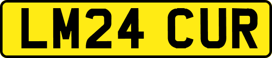LM24CUR