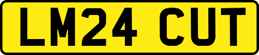 LM24CUT