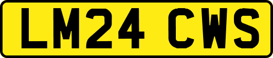 LM24CWS