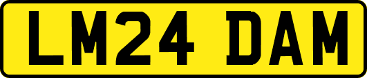 LM24DAM