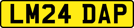 LM24DAP