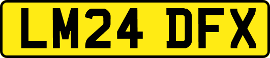 LM24DFX