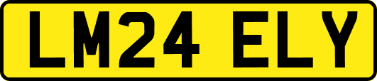 LM24ELY
