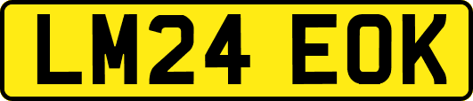 LM24EOK