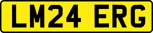 LM24ERG