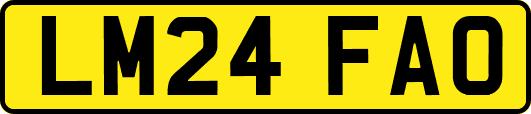 LM24FAO