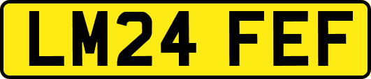 LM24FEF