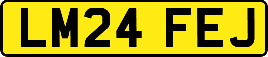 LM24FEJ