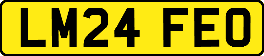 LM24FEO