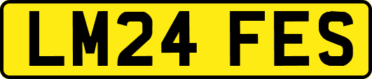 LM24FES
