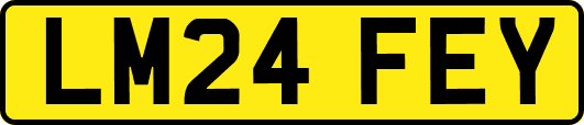 LM24FEY