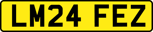 LM24FEZ