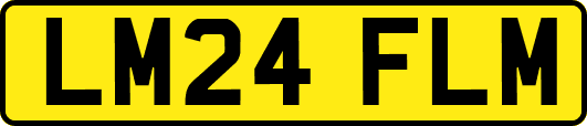 LM24FLM