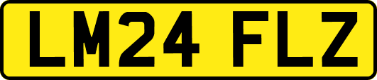 LM24FLZ