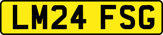LM24FSG