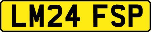 LM24FSP