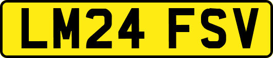 LM24FSV