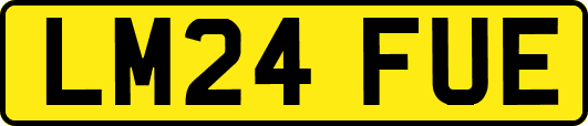 LM24FUE