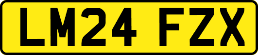 LM24FZX