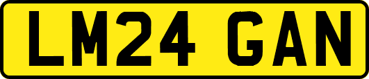 LM24GAN