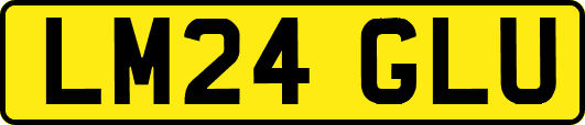 LM24GLU