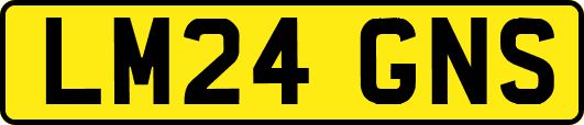 LM24GNS