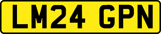 LM24GPN