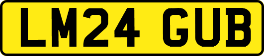 LM24GUB