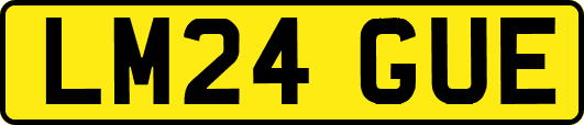LM24GUE