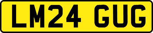 LM24GUG