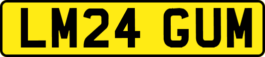 LM24GUM