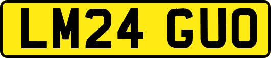 LM24GUO