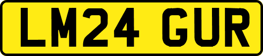 LM24GUR