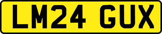 LM24GUX
