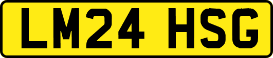 LM24HSG
