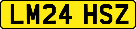 LM24HSZ