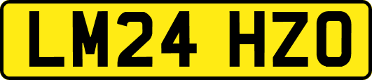 LM24HZO