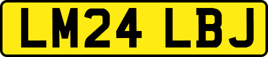 LM24LBJ