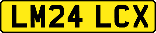 LM24LCX