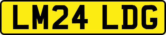 LM24LDG