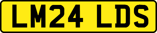 LM24LDS