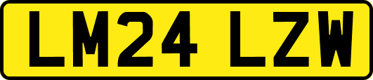 LM24LZW