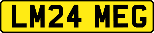 LM24MEG