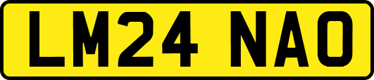 LM24NAO